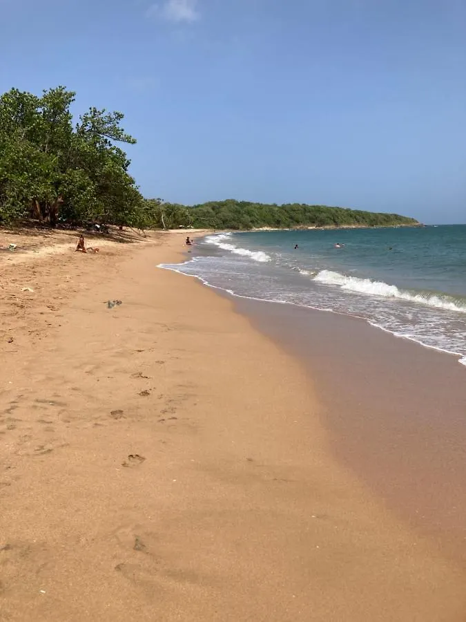 Апартаменты T2 Ti Joe Au Coeur De Guadeloupe Lamentin