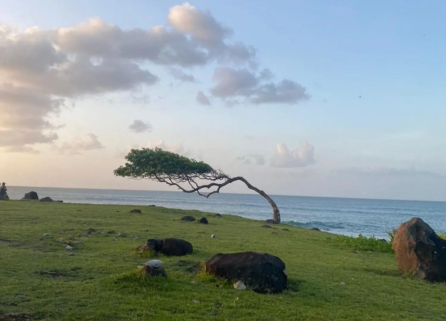 Апартаменты T2 Ti Joe Au Coeur De Guadeloupe Lamentin 0*,
